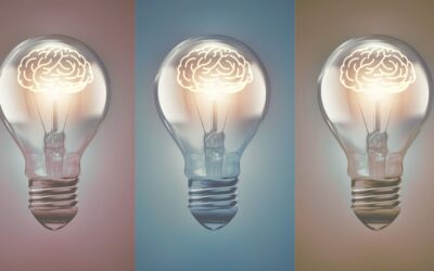 Why IP management should never stop